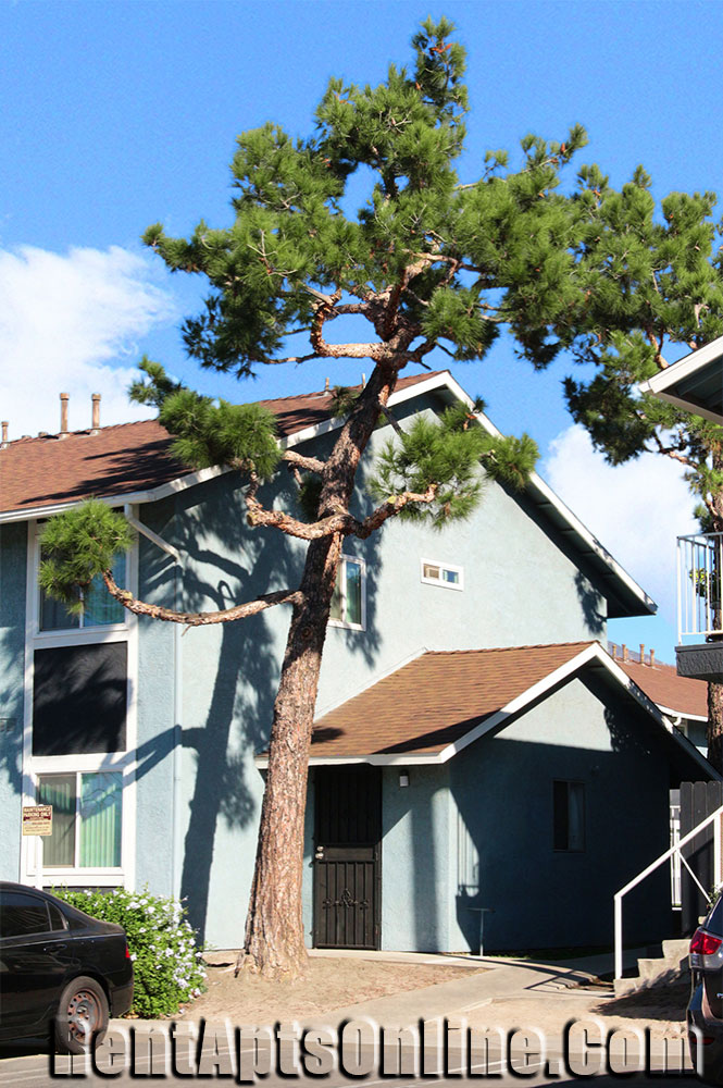  Rent an apartment today and make this Exteriors 6 your new apartment home.